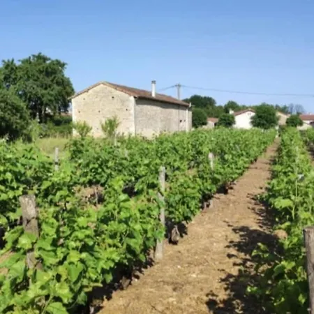 Tente Cloche De Vigne - Glamping On A Vineyard * Savigne