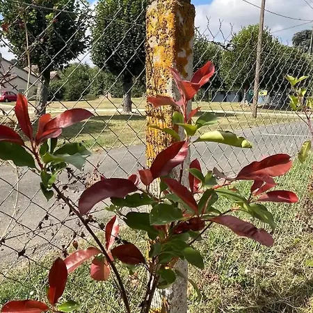 Campismo de Luxo Tente Cloche De Vigne - Glamping On A Vineyard Savigne