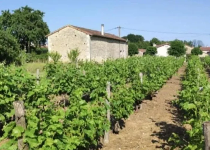 Tente Cloche De Vigne - Glamping On A Vineyard * Savigne