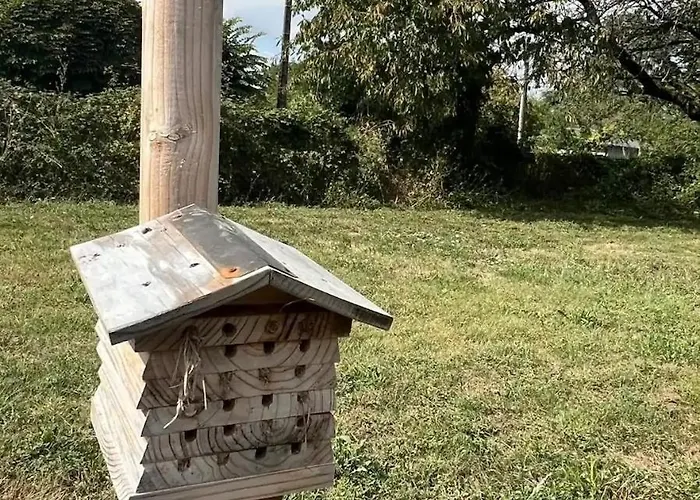 Campismo de Luxo Tente Cloche De Vigne - Glamping On A Vineyard *