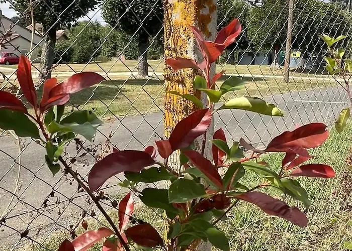 Campismo de Luxo Tente Cloche De Vigne - Glamping On A Vineyard Savigne
